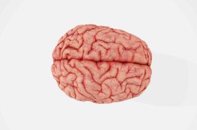 Neurological Conditions | Adelaide Physio and Podiatry Clinic